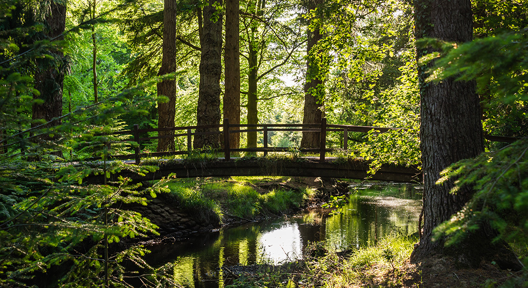Beaulieu Cottage - New Forest