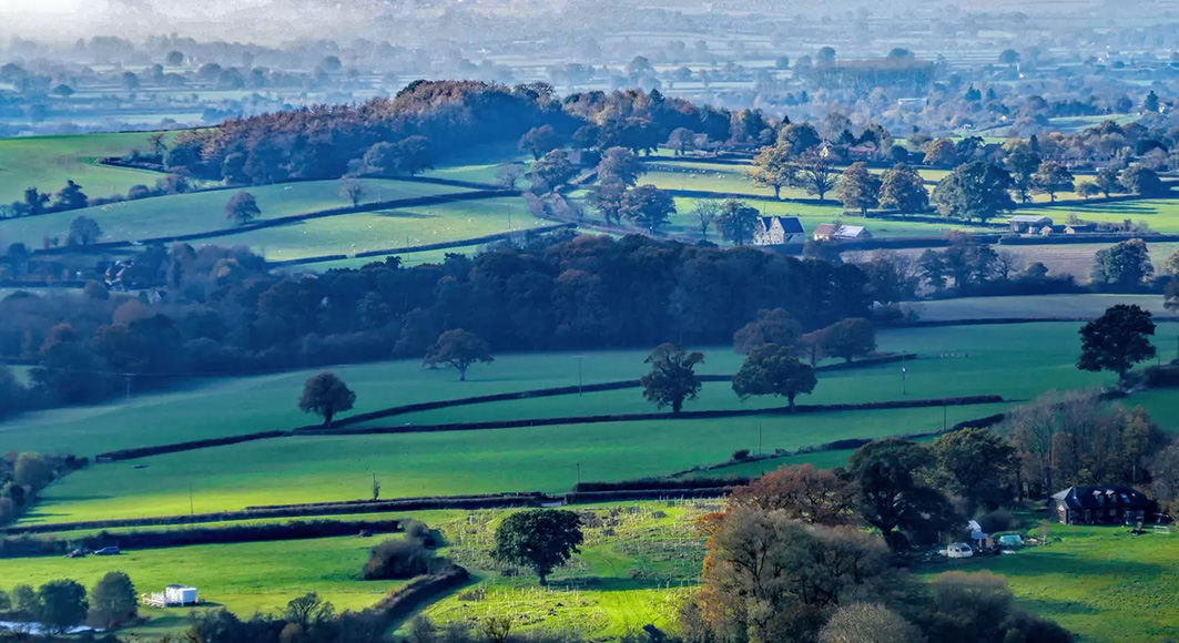 Dorset rural countryside